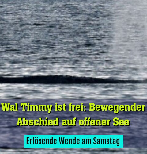 Erlösende Wende am Samstag