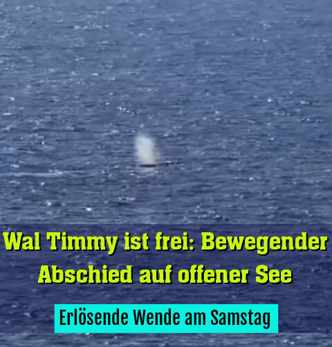 Erlösende Wende am Samstag