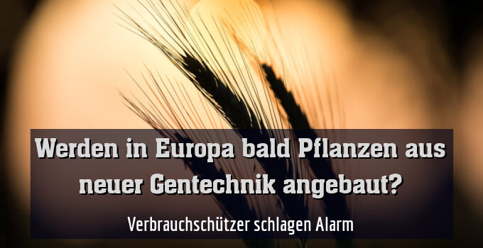 Verbrauchschützer schlagen Alarm