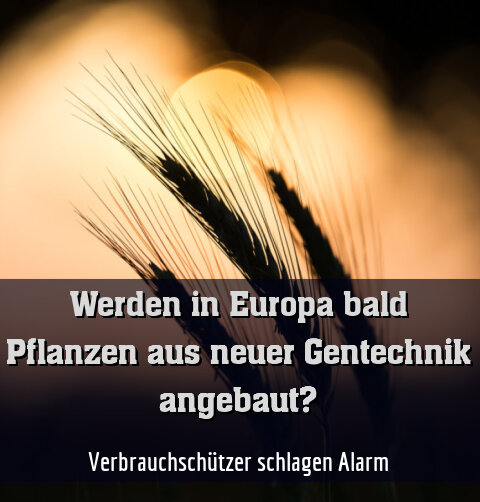 Verbrauchschützer schlagen Alarm