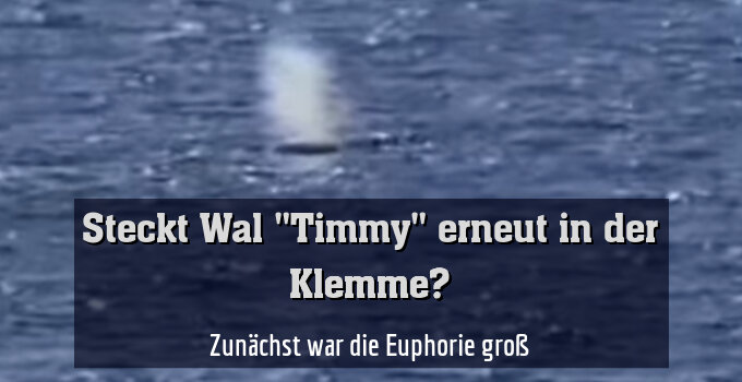 Zunächst war die Euphorie groß