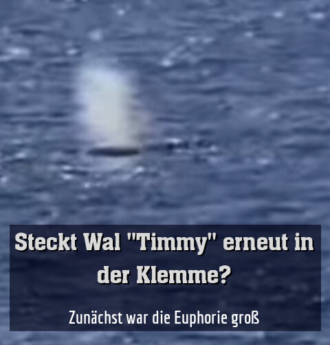 Zunächst war die Euphorie groß