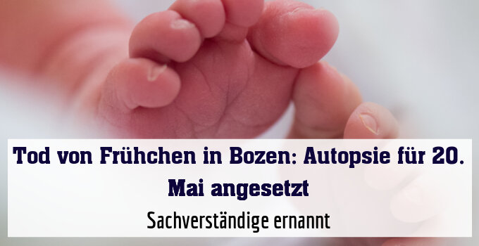Sachverständige ernannt
