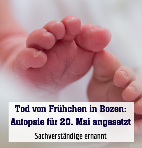 Sachverständige ernannt