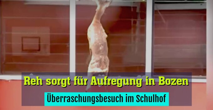 Überraschungsbesuch im Schulhof