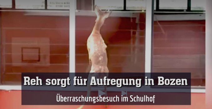 Überraschungsbesuch im Schulhof