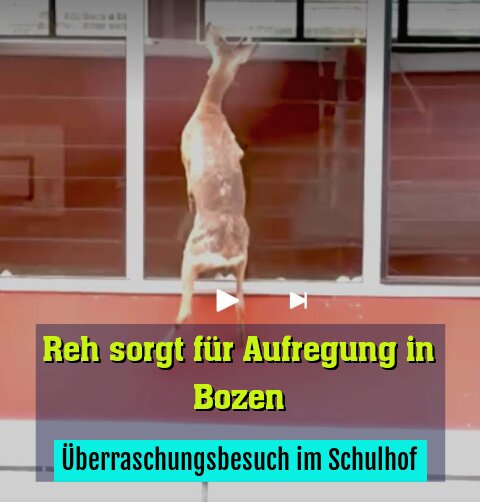 Überraschungsbesuch im Schulhof