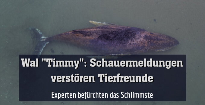 Experten fürchten das Schlimmste
