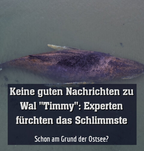 Schon am Grund der Ostsee?
