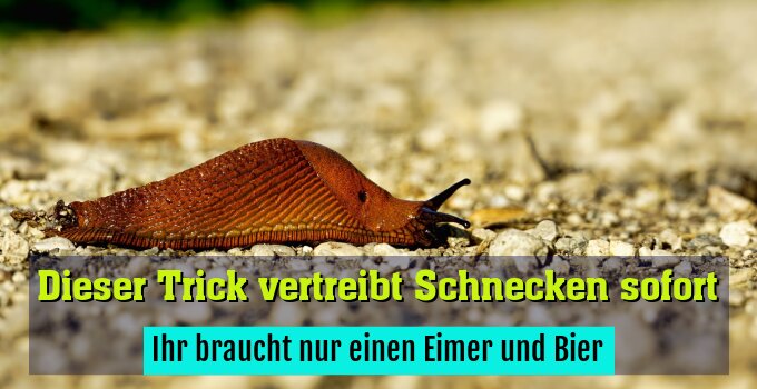 Ihr braucht nur einen Eimer und Bier