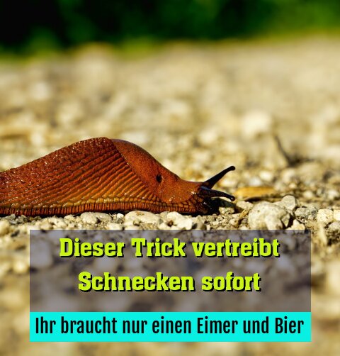 Ihr braucht nur einen Eimer und Bier