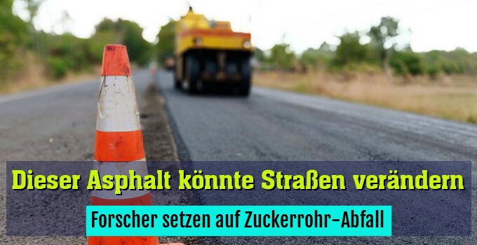 Forscher setzen auf Zuckerrohr-Abfall