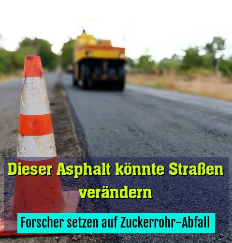 Forscher setzen auf Zuckerrohr-Abfall