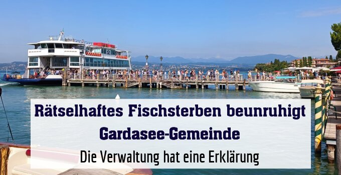 Die Verwaltung hat eine Erklärung
