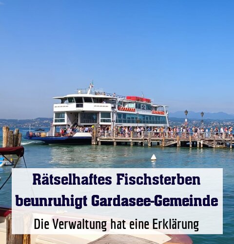 Die Verwaltung hat eine Erklärung