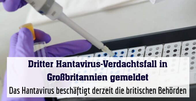 Das Hantavirus beschäftigt derzeit die britischen Behörden