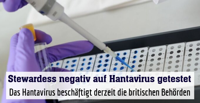 Das Hantavirus beschäftigt derzeit die britischen Behörden