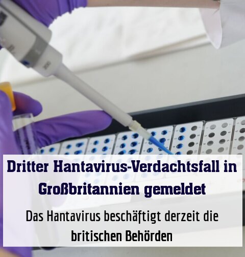 Das Hantavirus beschäftigt derzeit die britischen Behörden