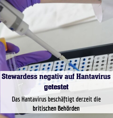 Das Hantavirus beschäftigt derzeit die britischen Behörden