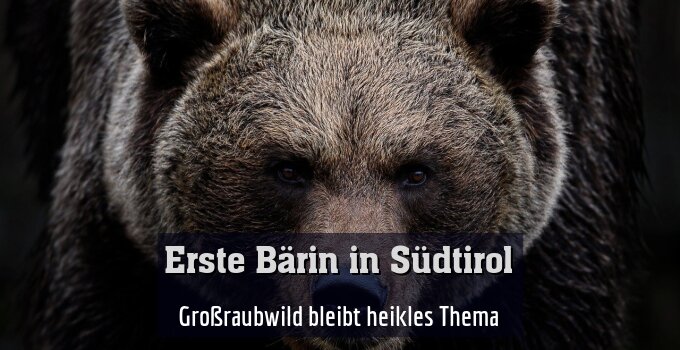 Großraubwild bleibt umstrittenes Thema
