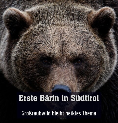 Großraubwild bleibt umstrittenes Thema