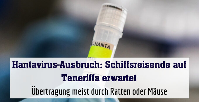 Übertragung meist durch Ratten oder Mäuse