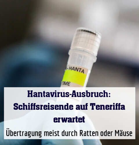 Übertragung meist durch Ratten oder Mäuse