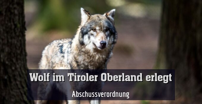 Abschussverordnung