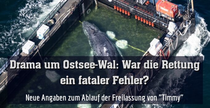 Neue Angaben zum Ablauf der Freilassung von "Timmy"