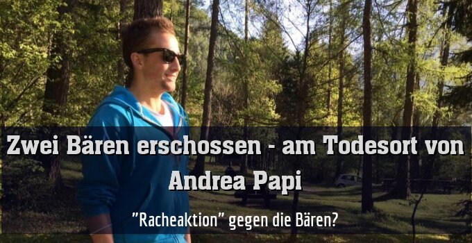 "Racheaktion" gegen die Bären?