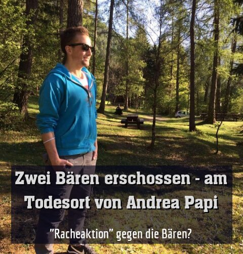 "Racheaktion" gegen die Bären?