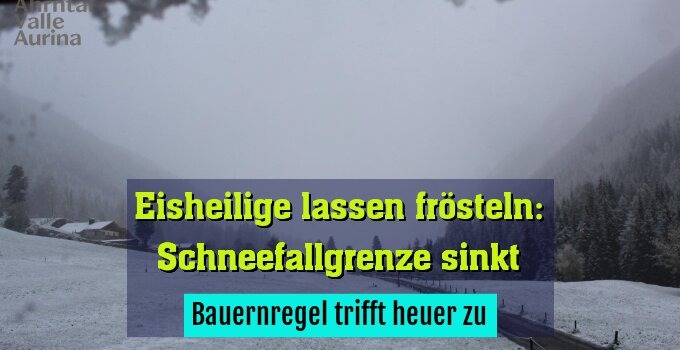 Bauernregel trifft heuer zu