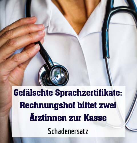 Schadenersatz