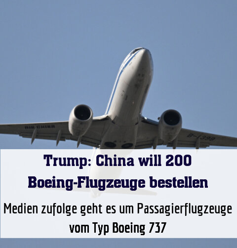 Medien zufolge geht es um Passagierflugzeuge vom Typ Boeing 737
