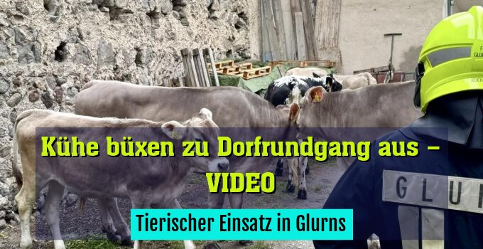 Tierischer Einsatz in Glurns