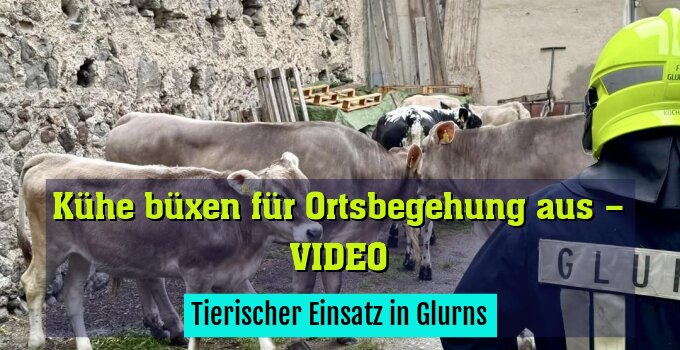 Tierischer Einsatz in Glurns