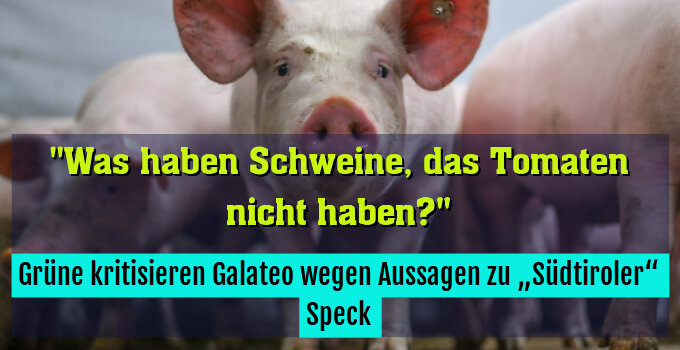 Grüne kritisieren Galateo wegen Aussagen zu „Südtiroler“ Speck