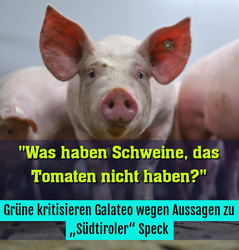 Grüne kritisieren Galateo wegen Aussagen zu „Südtiroler“ Speck