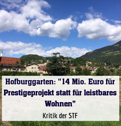 Kritik der STF