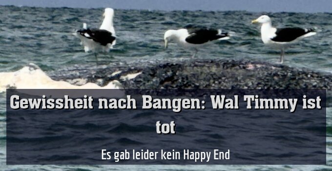 Es gab leider kein Happy End
