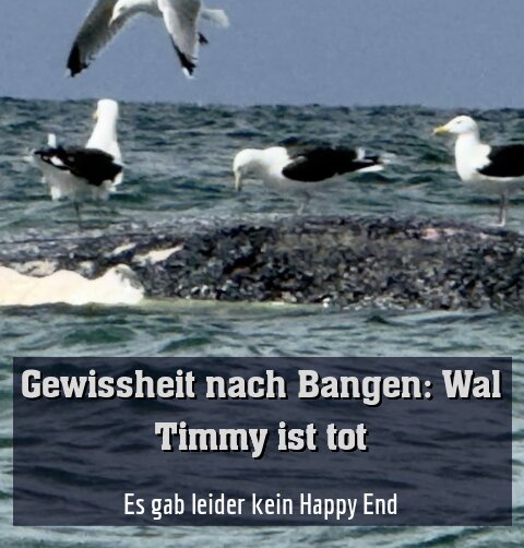 Es gab leider kein Happy End