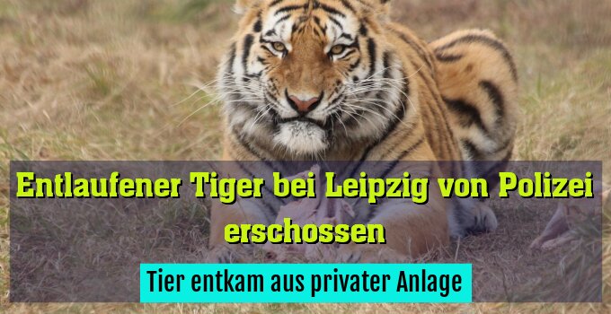Tier entkam aus privater Anlage