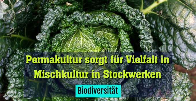 Biodiversität