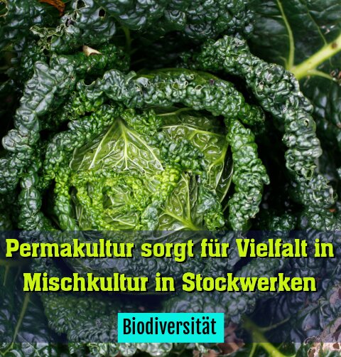 Biodiversität