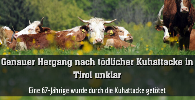 Eine 67-Jährige wurde durch die Kuhattacke getötet