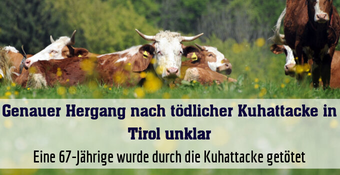 Eine 67-Jährige wurde durch die Kuhattacke getötet