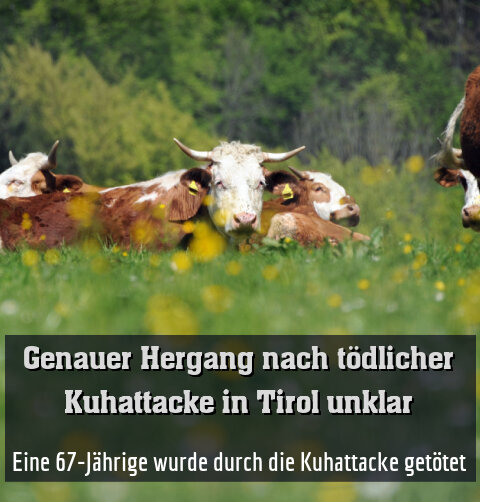 Eine 67-Jährige wurde durch die Kuhattacke getötet