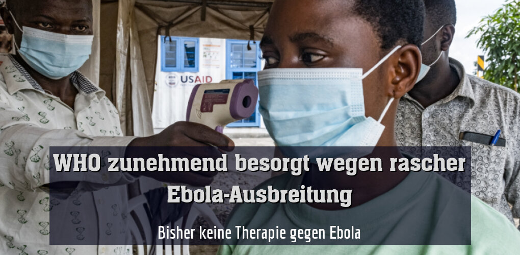 Bisher keine Therapie gegen Ebola