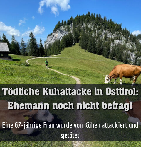 Eine 67-jährige Frau wurde von Kühen attackiert und getötet