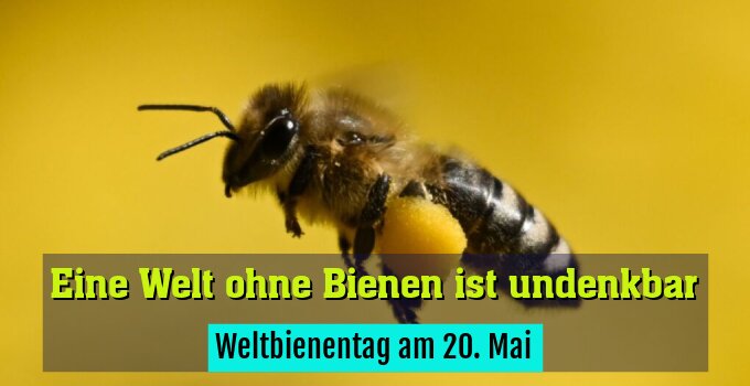 Weltbienentag am 20. Mai